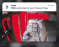 Motion notification from Outdoor 3 camera (2020 model)