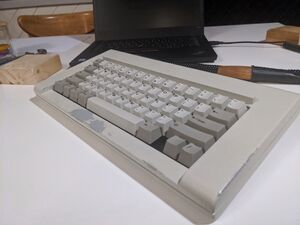 Model f labs wear.jpg